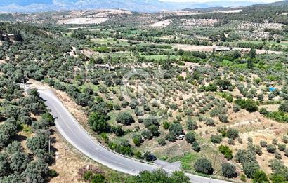 KARACASU YENİCE MAHALLESİNDE 887 m2 SATILIK ARSA