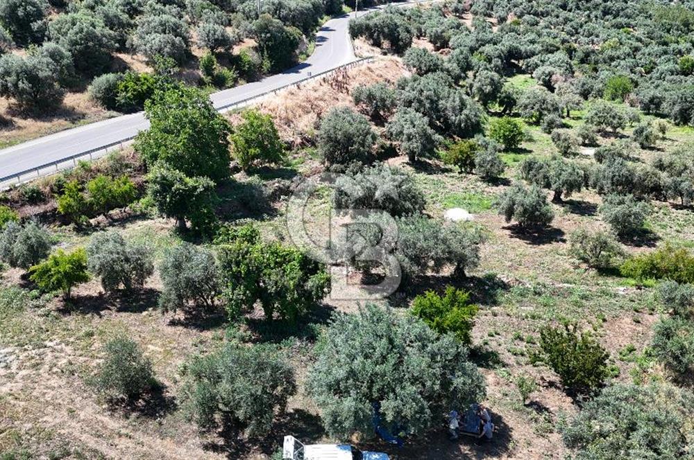 KARACASU YENİCE MAHALLESİNDE 6.770 m2 SATILIK ARSA