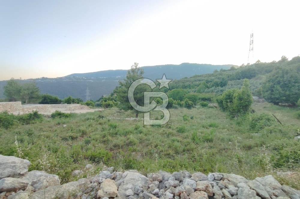 HATAY SAMANDAĞ YAYLICA MAHALLESİ'NDE PRESTİJLİ KONUMDA 974 m² AR