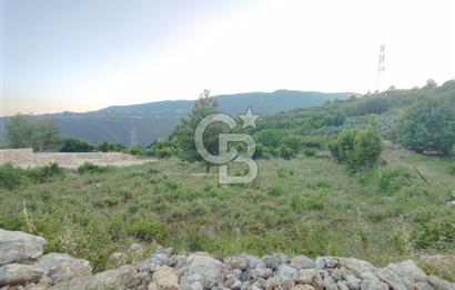 HATAY SAMANDAĞ YAYLICA MAHALLESİ'NDE PRESTİJLİ KONUMDA 974 m² AR