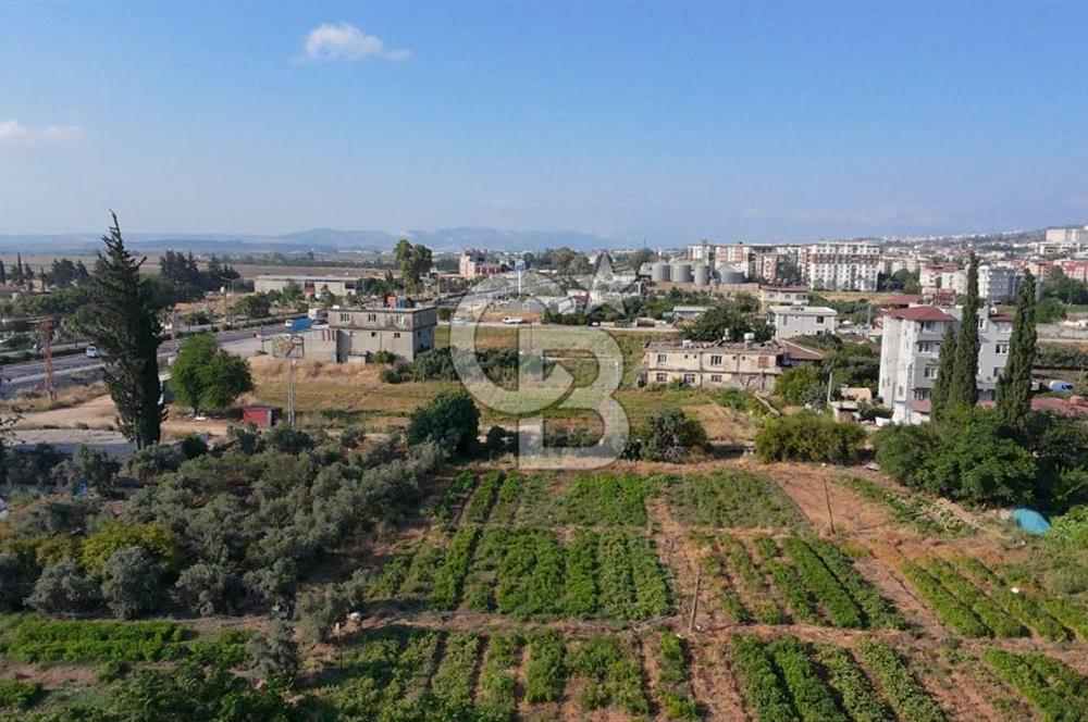SERİNYOL AKINCILAR ANA YOLA 3. PARSEL 577m2 SATILIK