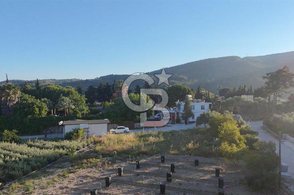 DOĞA TURİSTİK TESİSİ KARŞISINDA SATILIK KÖŞE PARSEL