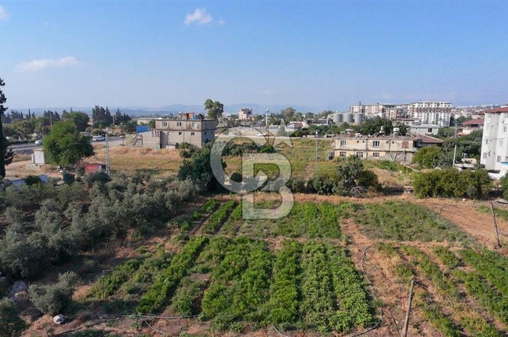 SERİNYOL AKINCILAR ANA YOLA 3. PARSEL 577m2 SATILIK
