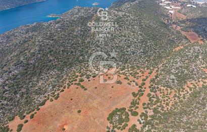 ANTALYA DEMRE ÜÇAĞIZDA CB ARDENDEN SATILIK YATIRIMLIK İKİ PARSEL