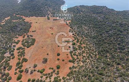ANTALYA DEMRE ÜÇAĞIZDA CB ARDENDEN SATILIK YATIRIMLIK İKİ PARSEL