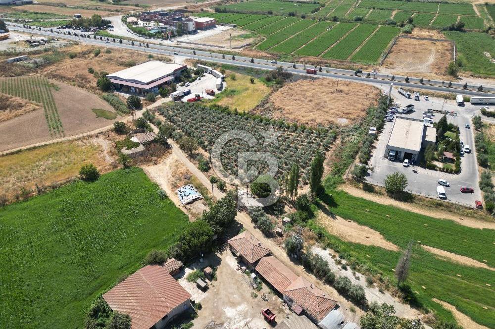 Manisa Salihli Caferbey Satılık Sanayi Arsası