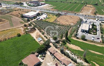 Manisa Salihli Caferbey Satılık Sanayi Arsası