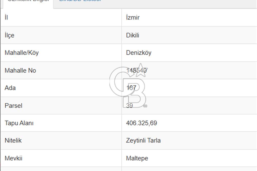 200 DÖNÜM ZEYTİNLİ TARLA DENİZ MANZARALI
