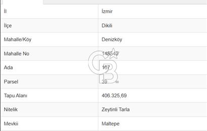 200 DÖNÜM ZEYTİNLİ TARLA DENİZ MANZARALI