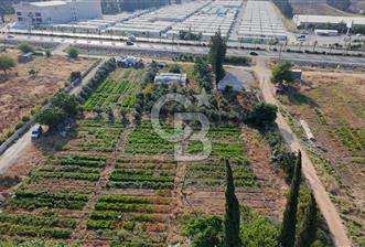 SERİNYOL AKINCILAR ANA YOLA 3. PARSEL 577m2 SATILIK - 1 - 360109