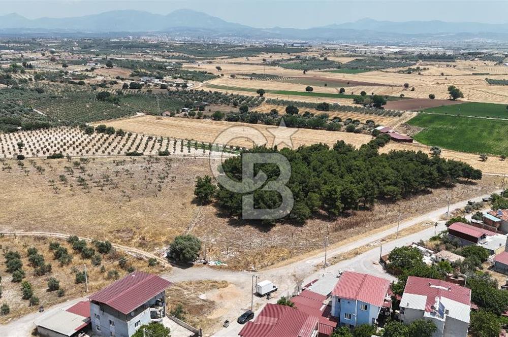 TORBALI PANCARDA 3 KAT KONUT İMARLI ARSA
