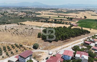 TORBALI PANCARDA 3 KAT KONUT İMARLI ARSA