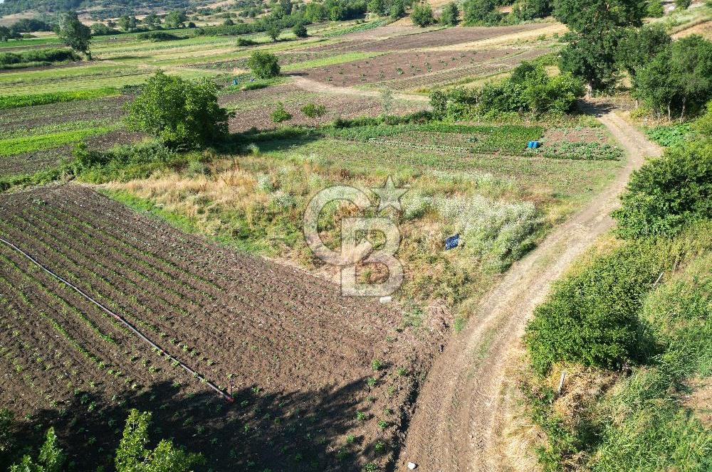 Kandıra Akbal'da İmar Sınırında Tek Tapu Parsel