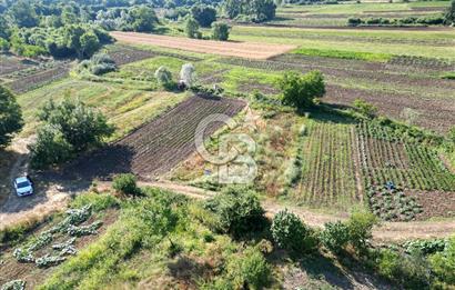 Kandıra Akbal'da İmar Sınırında Tek Tapu Parsel