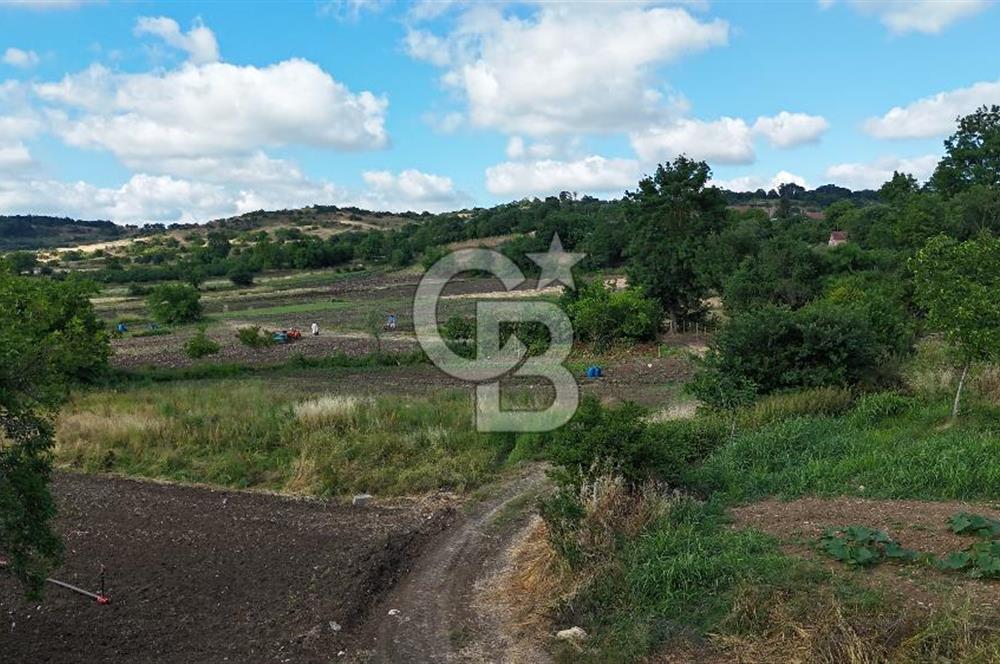 Kandıra Akbal'da İmar Sınırında Tek Tapu Parsel