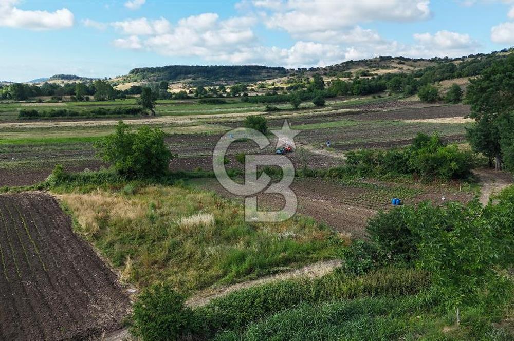 Kandıra Akbal'da İmar Sınırında Tek Tapu Parsel