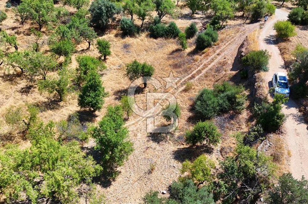DATÇA YAKADA PROJESİ HAZIR İMARLI ARAZİ SATILIK