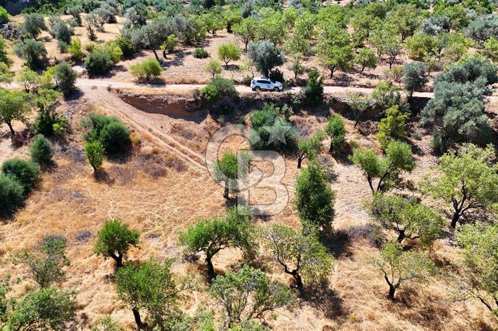DATÇA YAKADA PROJESİ HAZIR İMARLI ARAZİ SATILIK