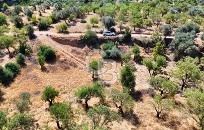 DATÇA YAKADA PROJESİ HAZIR İMARLI ARAZİ SATILIK