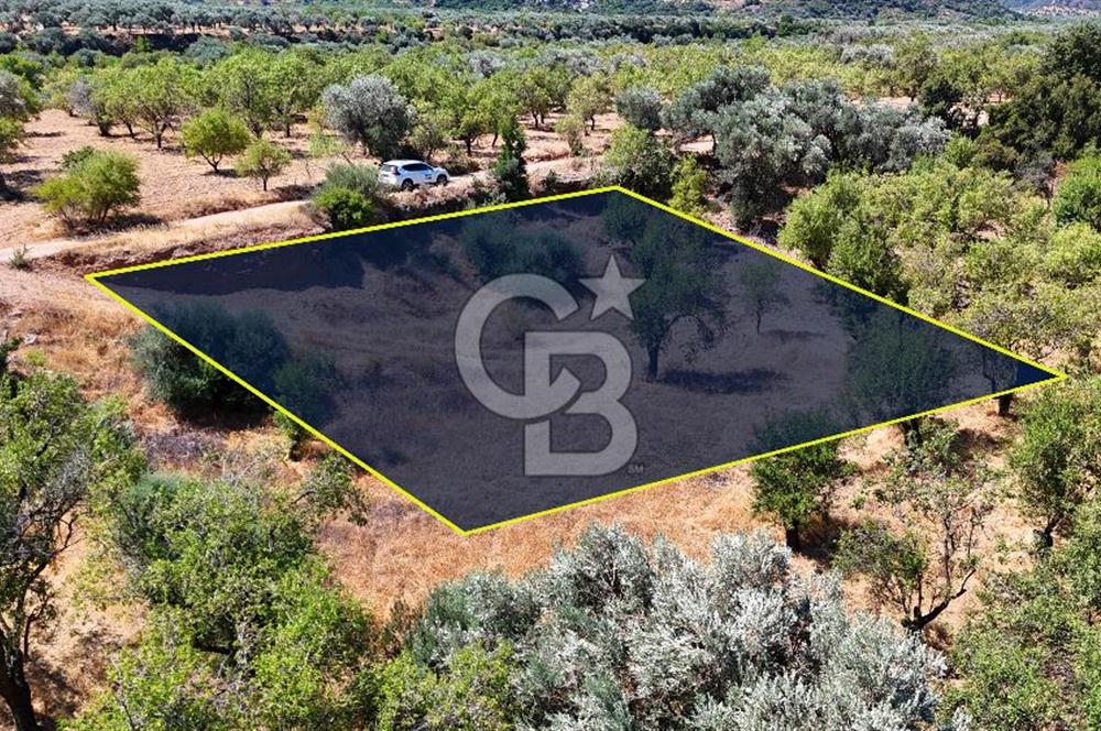 DATÇA YAKADA PROJESİ HAZIR İMARLI ARAZİ SATILIK
