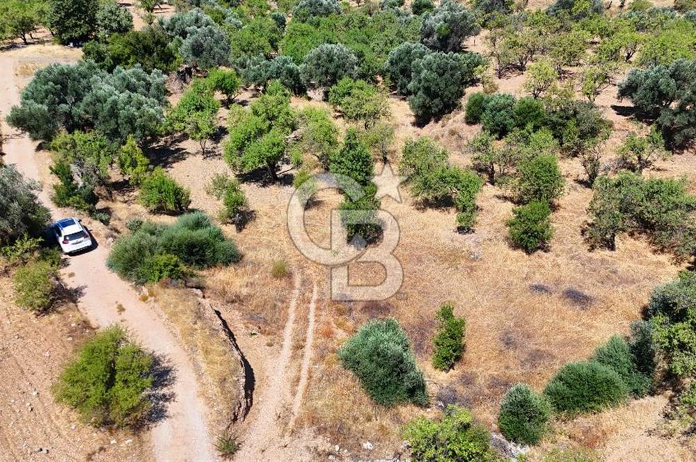 DATÇA YAKADA PROJESİ HAZIR İMARLI ARAZİ SATILIK