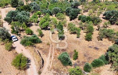 DATÇA YAKADA PROJESİ HAZIR İMARLI ARAZİ SATILIK