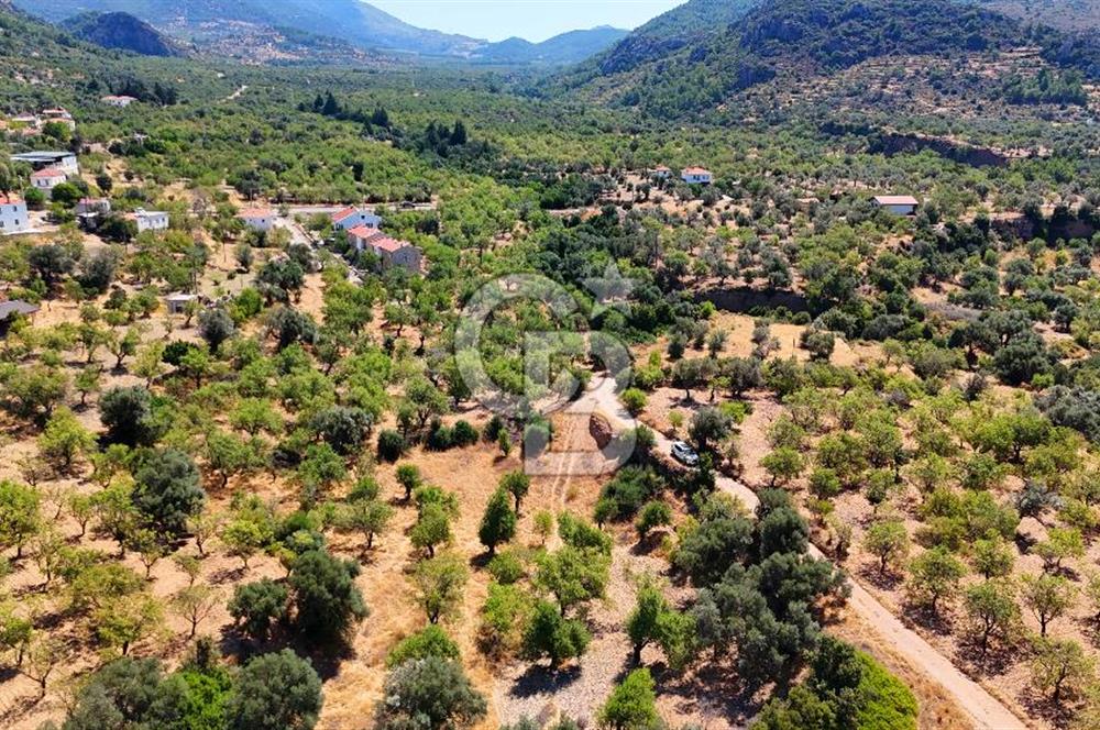 DATÇA YAKADA PROJESİ HAZIR İMARLI ARAZİ SATILIK