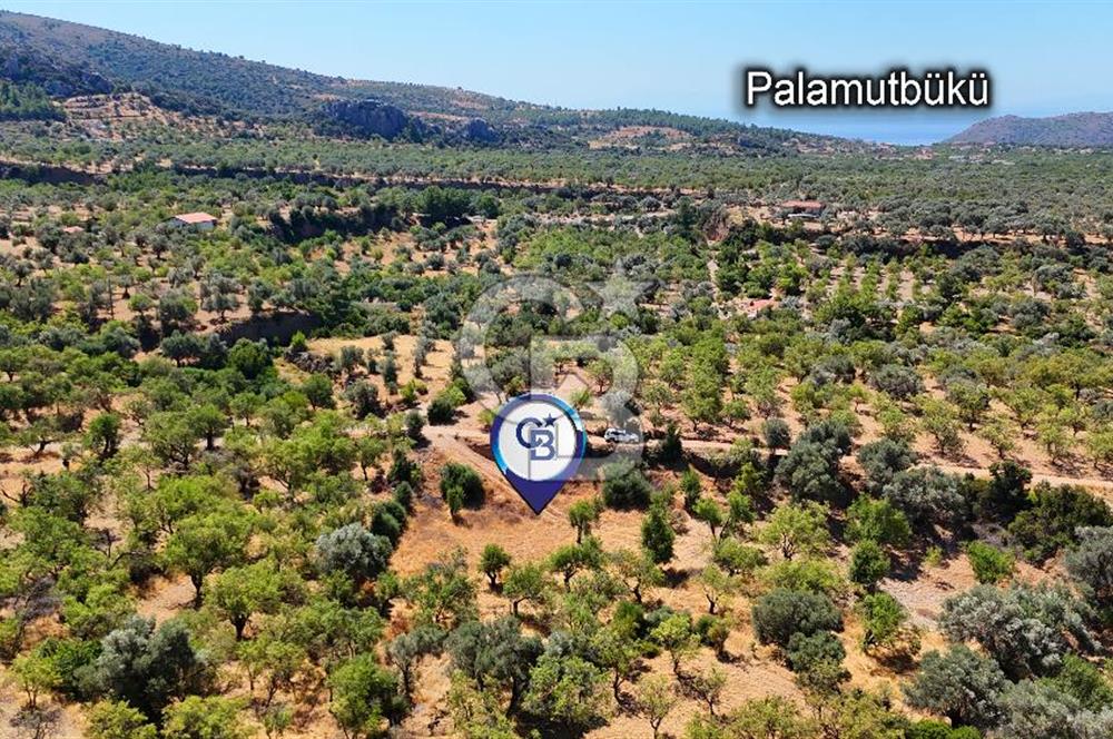 DATÇA YAKADA PROJESİ HAZIR İMARLI ARAZİ SATILIK