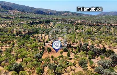 DATÇA YAKADA PROJESİ HAZIR İMARLI ARAZİ SATILIK