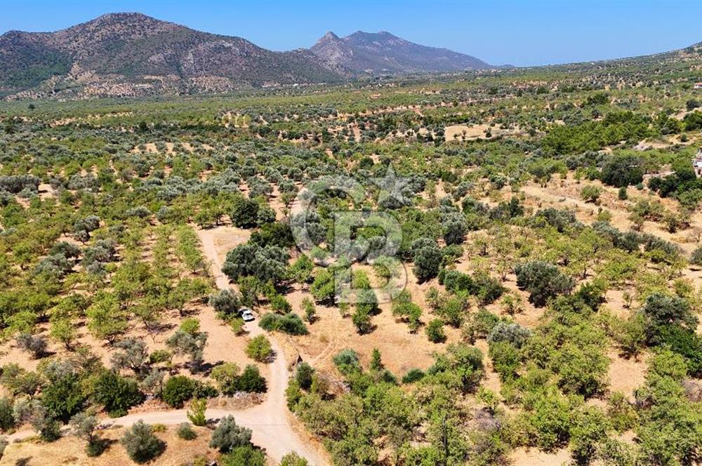 DATÇA YAKADA PROJESİ HAZIR İMARLI ARAZİ SATILIK