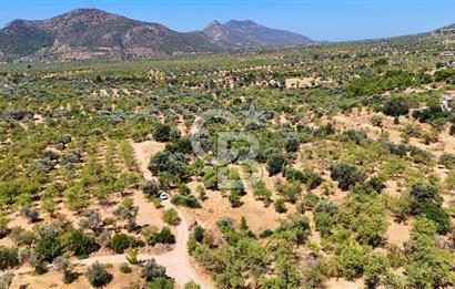 DATÇA YAKADA PROJESİ HAZIR İMARLI ARAZİ SATILIK