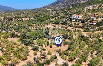 DATÇA YAKADA PROJESİ HAZIR İMARLI ARAZİ SATILIK