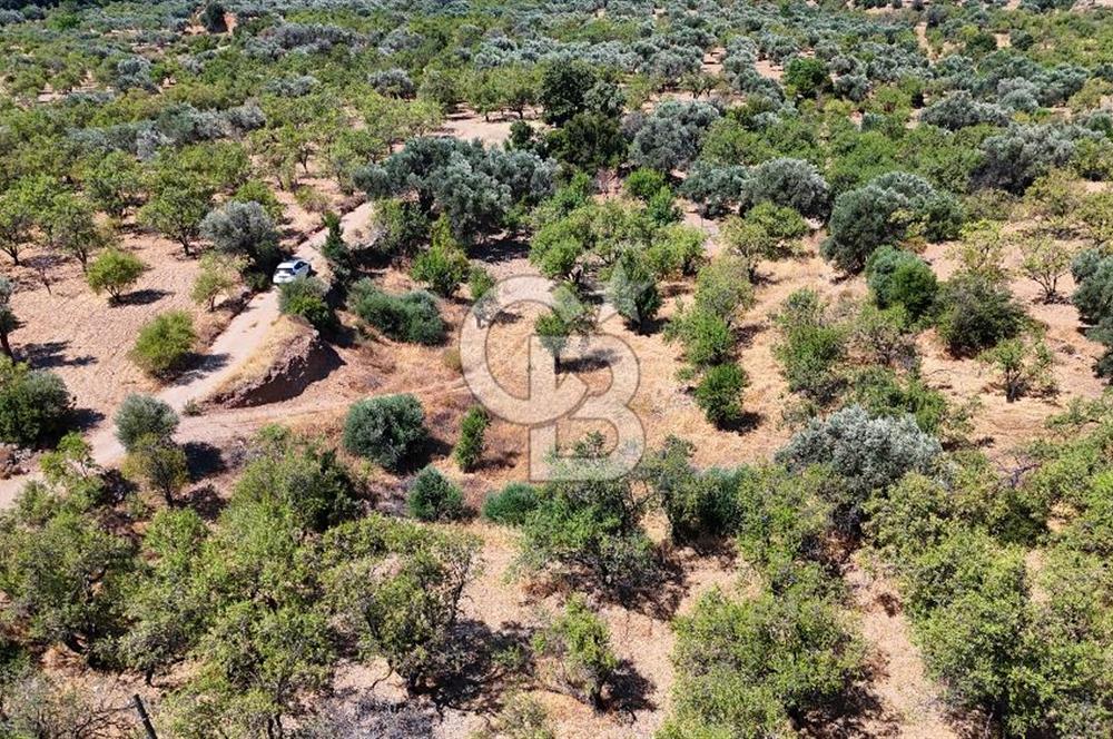 DATÇA YAKADA PROJESİ HAZIR İMARLI ARAZİ SATILIK