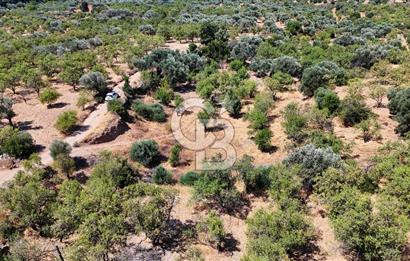 DATÇA YAKADA PROJESİ HAZIR İMARLI ARAZİ SATILIK