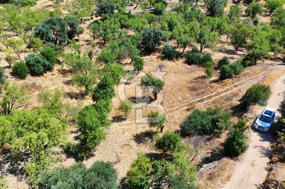 DATÇA YAKADA PROJESİ HAZIR İMARLI ARAZİ SATILIK