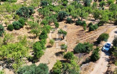 DATÇA YAKADA PROJESİ HAZIR İMARLI ARAZİ SATILIK