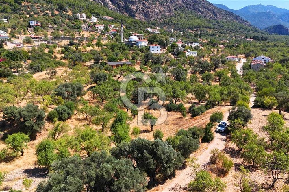DATÇA YAKADA PROJESİ HAZIR İMARLI ARAZİ SATILIK