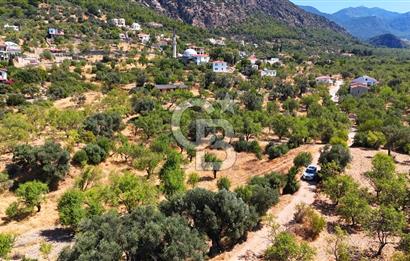 DATÇA YAKADA PROJESİ HAZIR İMARLI ARAZİ SATILIK