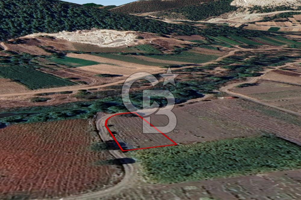 Balıkesir Bigadiç'te Yola Cepheli Fırsat Tarla
