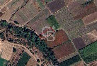 Balıkesir Bigadiç'te Yola Cepheli Fırsat Tarla - 7 - 360188