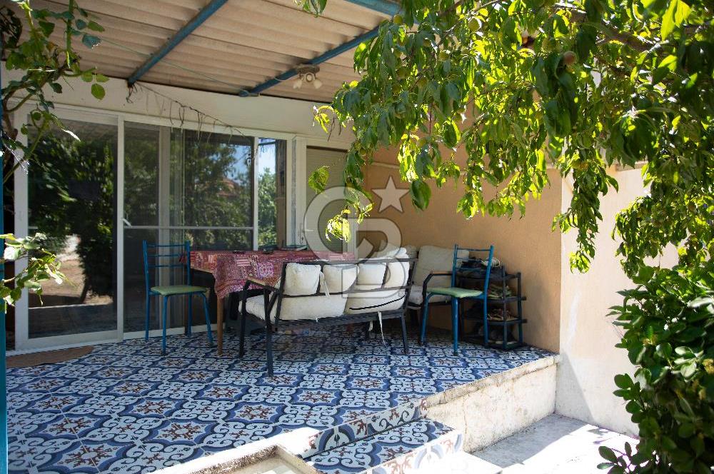 Foça Yenibağarası'nda Anayol Cepheli Satılık Tarla