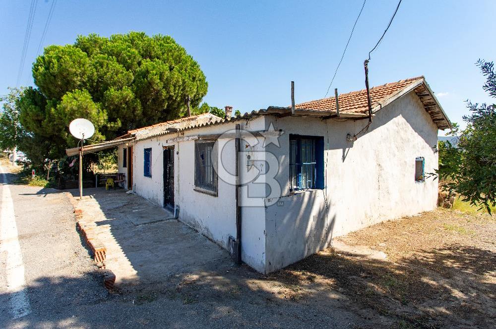 Foça Yenibağarası'nda Anayol Cepheli Satılık Tarla