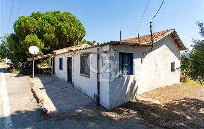 Foça Yenibağarası'nda Anayol Cepheli Satılık Tarla