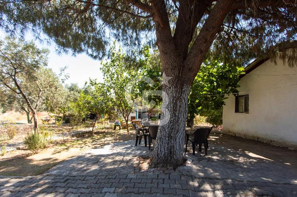 Foça Yenibağarası'nda Anayol Cepheli Satılık Tarla