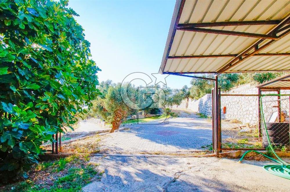 Akkum Caddesi Üzerinde Akkum'a 2 Dk Mesafede Kiralık 2+1 (70 m²)