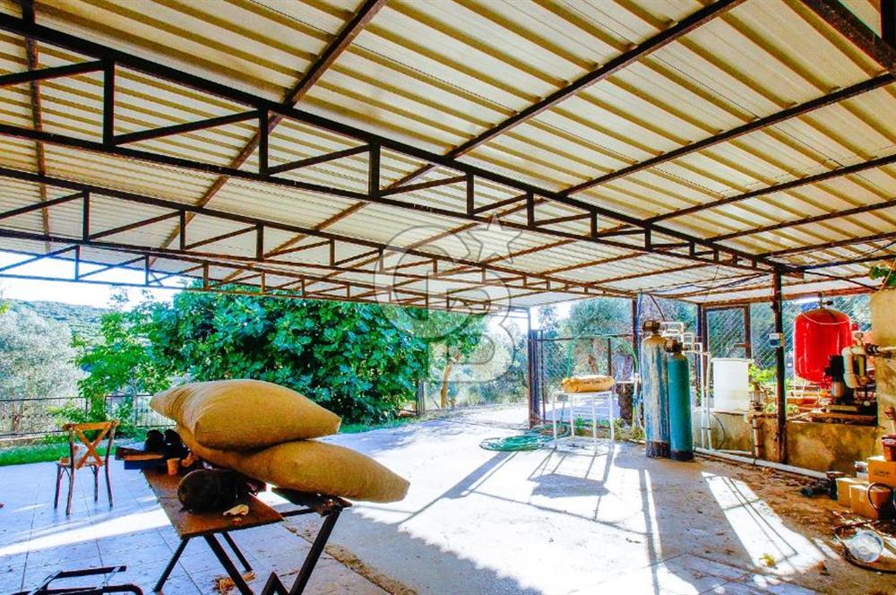 Akkum Caddesi Üzerinde Akkum'a 2 Dk Mesafede Kiralık 2+1 (70 m²)