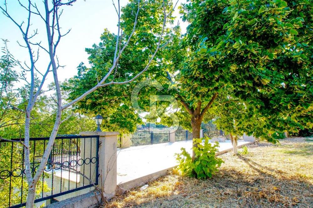 Akkum Caddesi Üzerinde Akkum'a 2 Dk Mesafede Kiralık 2+1 (70 m²)