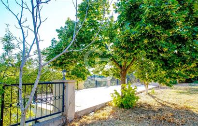 Akkum Caddesi Üzerinde Akkum'a 2 Dk Mesafede Kiralık 2+1 (70 m²)