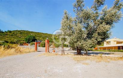 Ege Manzarasıyla Fark Yaratan, İşletmeye Hazır Kiralık Restorant