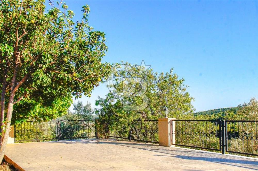 Akkum Caddesi Üzerinde Akkum'a 2 Dk Mesafede Kiralık 2+1 (70 m²)